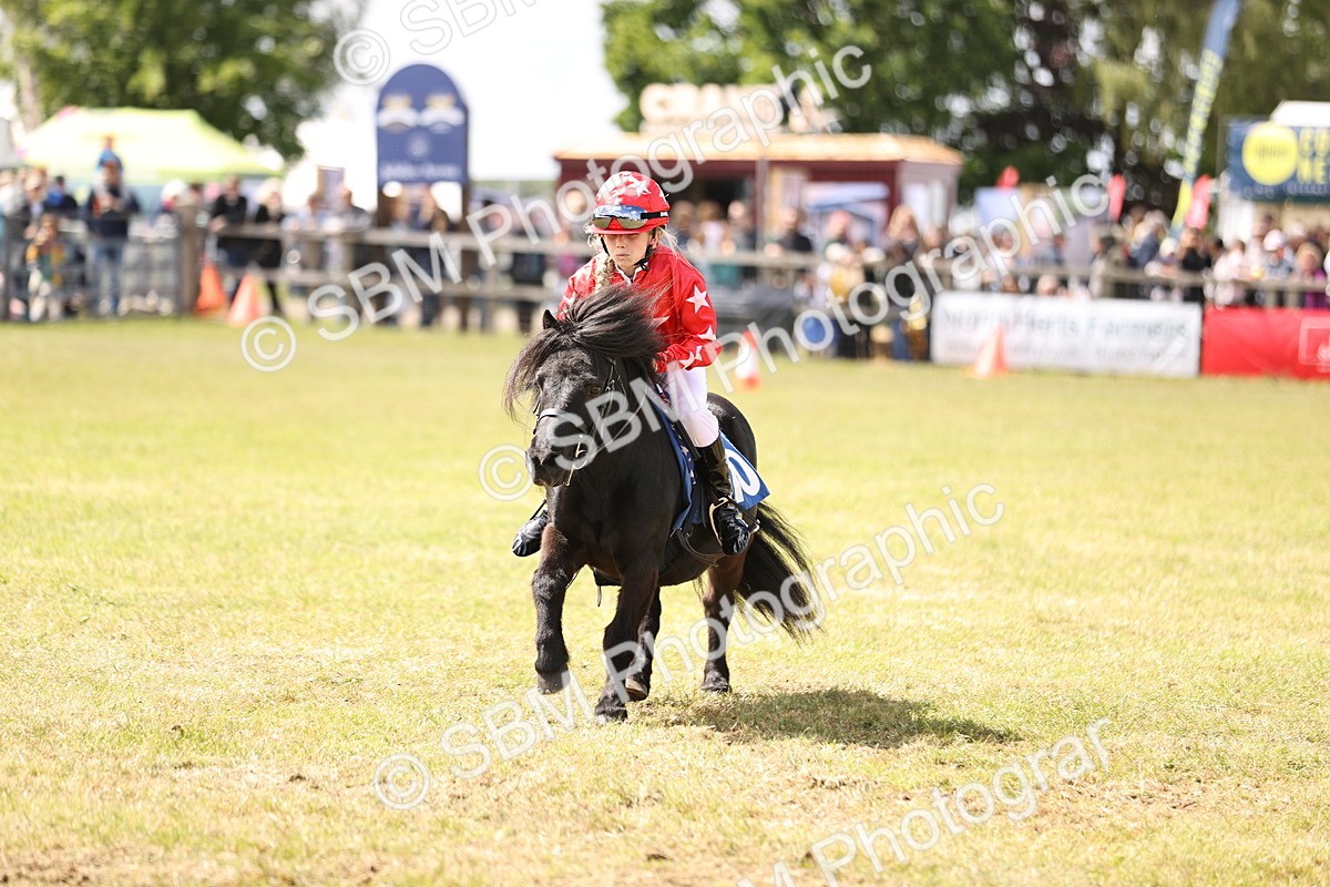 SBM_16653 - Dinky Derby