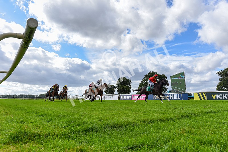 090824-Race 4-Law Of Average-2945 - Race 4