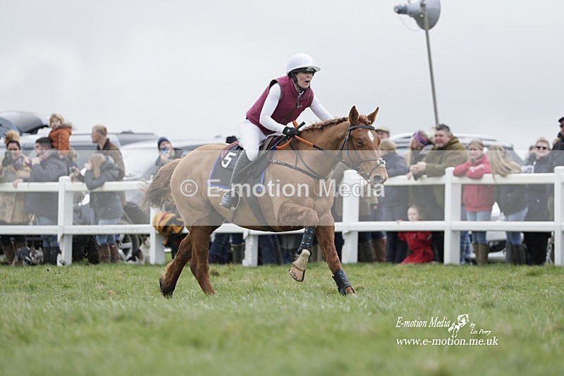 PtP 260323 0269 - New Forest Hounds Point-to-Point Larkhill 26/03/23