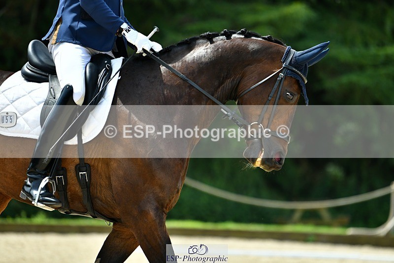 230623-122159-02205 - Cls 4 Novice 37Q Start to 12.35 break