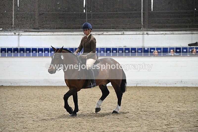 WJ7_3988 - Class 17 Ridden Cob