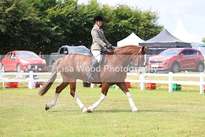 3E7A0151 - Class 6: Rising Star Maxi Cobs