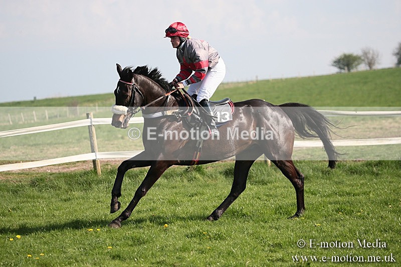 PtP 210418 460 - South & West Wilts Point-to-Point Larkhill 21/04/18
