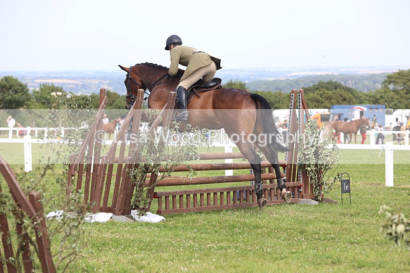 JPP_3775 - Class 23: Working Hunter 80cm