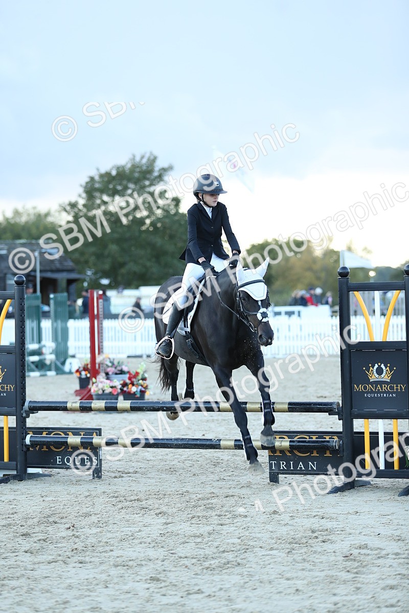 SBM_53662 - Supreme Championship 65cm 70cm