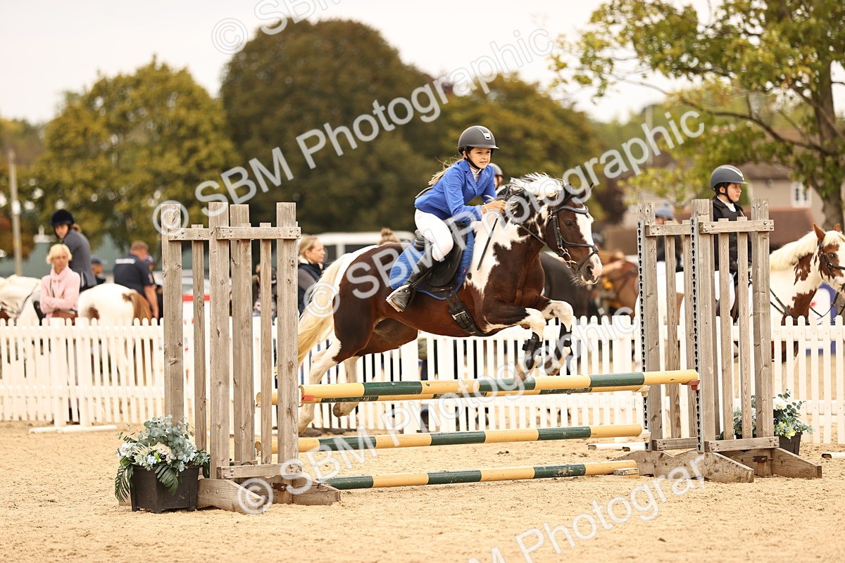 SBM_72582 - J14 - Junior Pony 65cm Championship