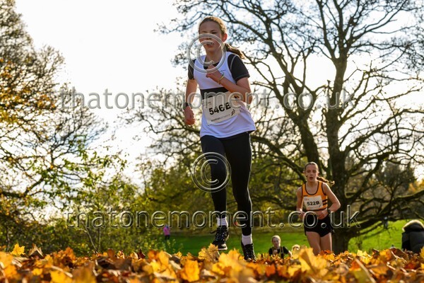 NatRel25-913752 - Young Female Set Two