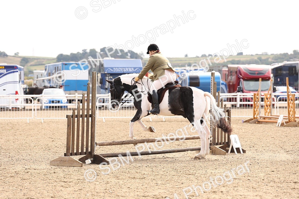 SBM_04286 - Class 54 - Riding Club Horse/Pony