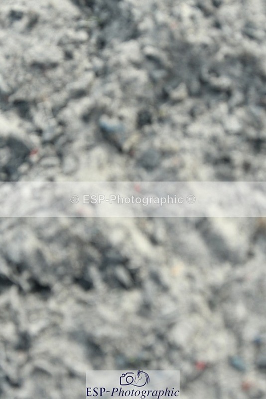 230817-094557-00249 - Theo's 1st Group - Arena