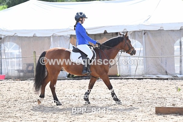 BPP_8445 - 60CM