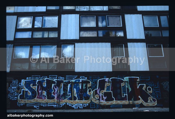 Be29 - Graffiti Gallery (6)