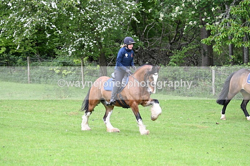 WJ7_2121 - Group 3 A&B Cameras