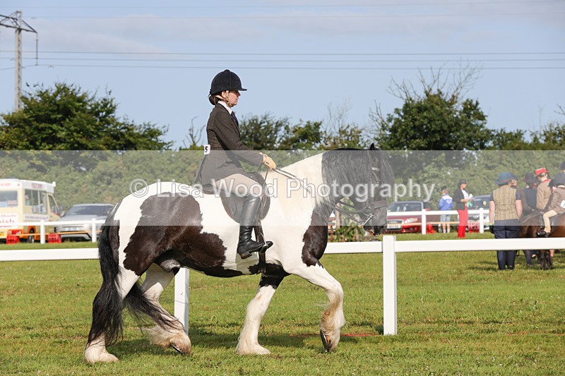 1X9A3116 - Class 27:  Ridden Native/Trad Coloured Horse