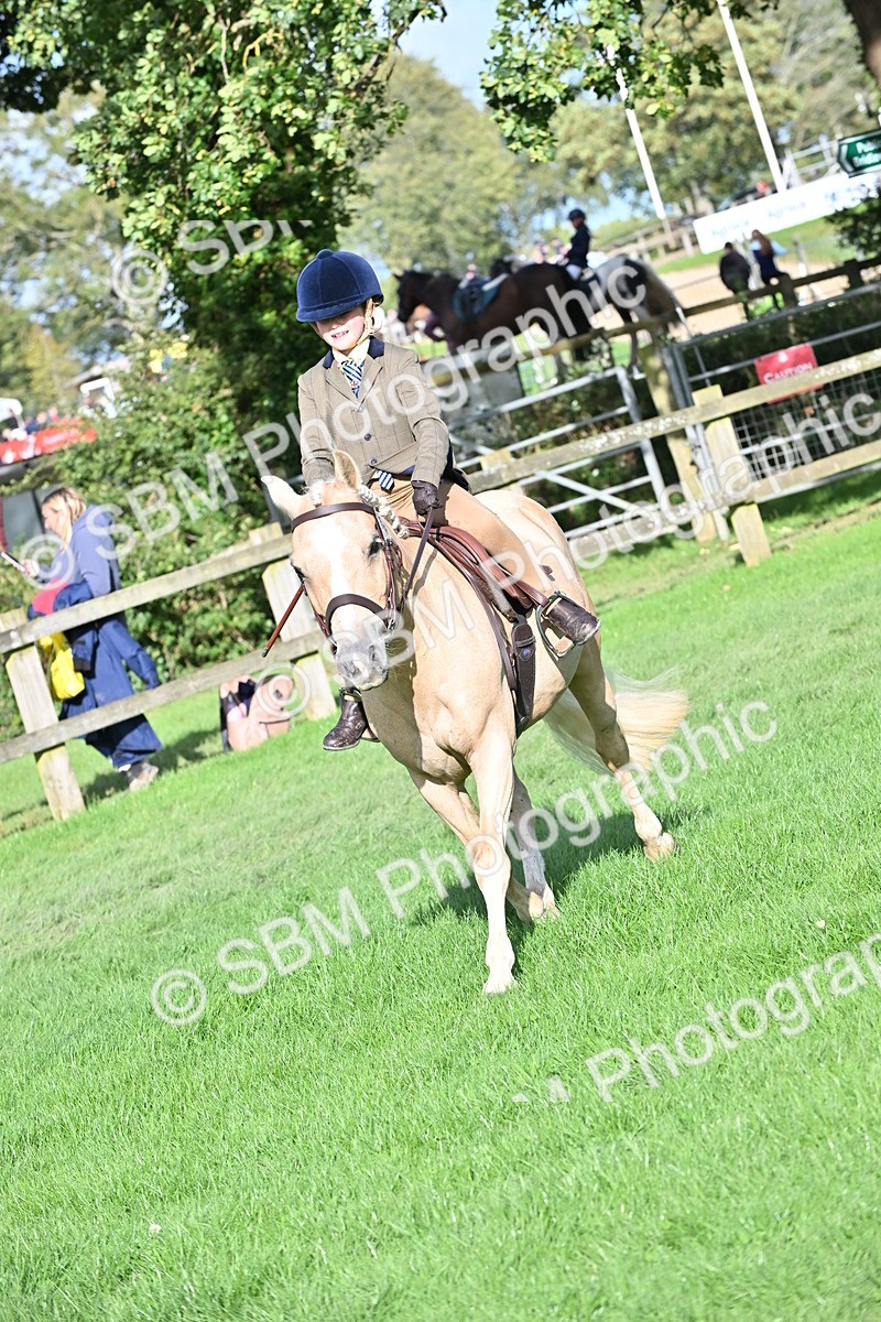 SBM_51261 - S22 - First Ridden show and show Hunter Pony