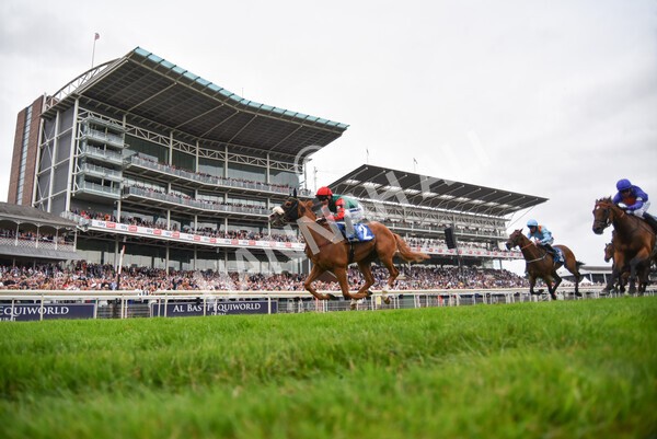 yr24072021r7-59 - Race 7 5.35pm The Sporting Life Fast Results Stakes