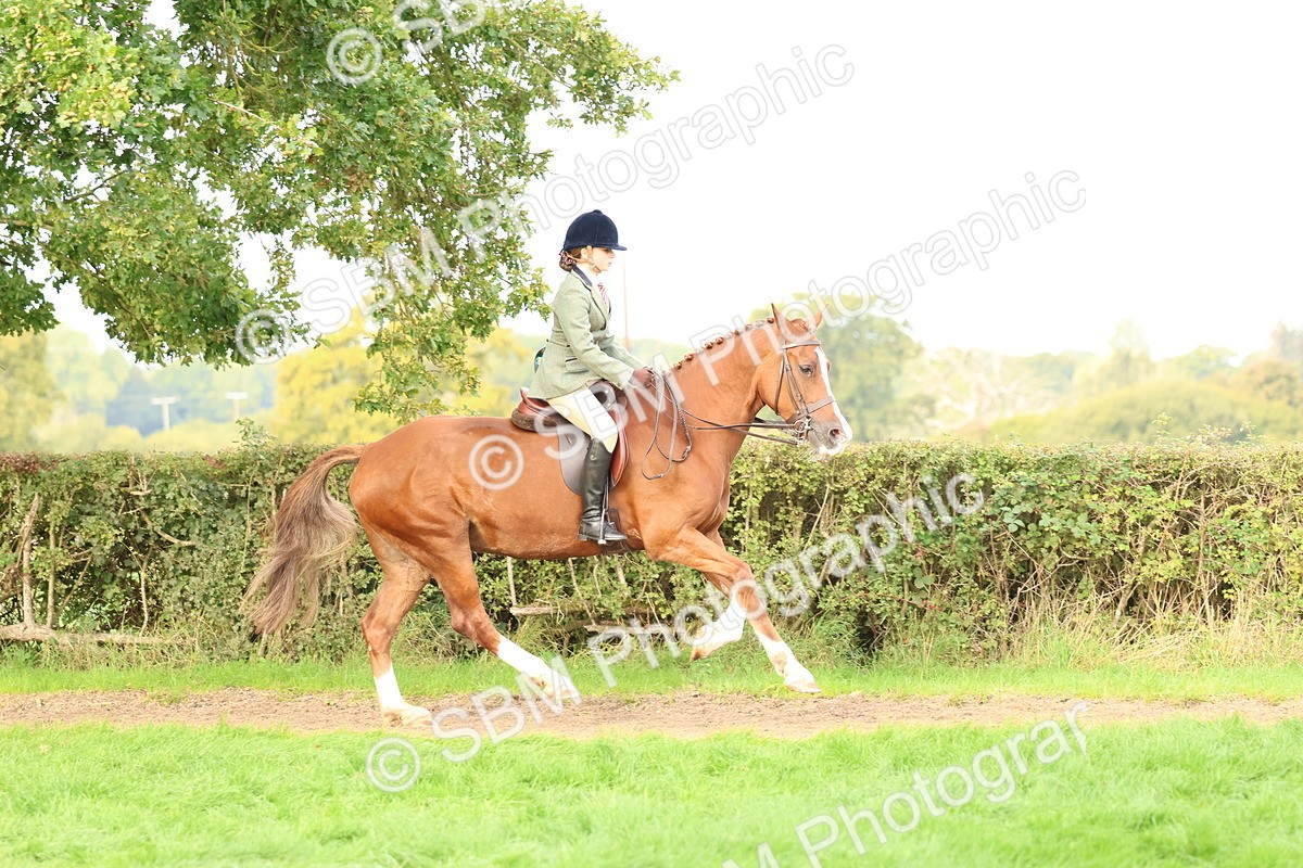 SBM_56642 - S40 - Starters Ridden Showing
