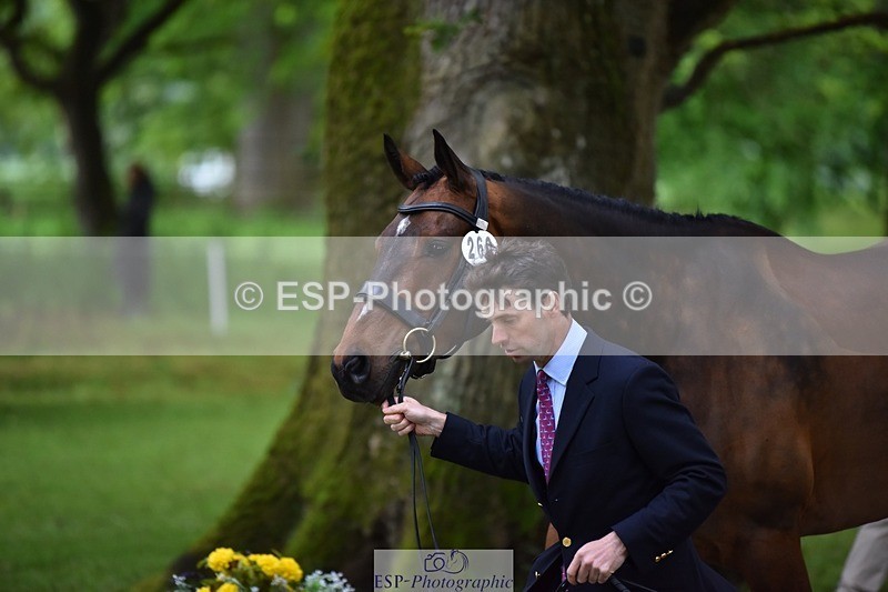 240522-164920-01176 - 260-WATERVALLEY_ROYAL_GUY-Harry_Meade