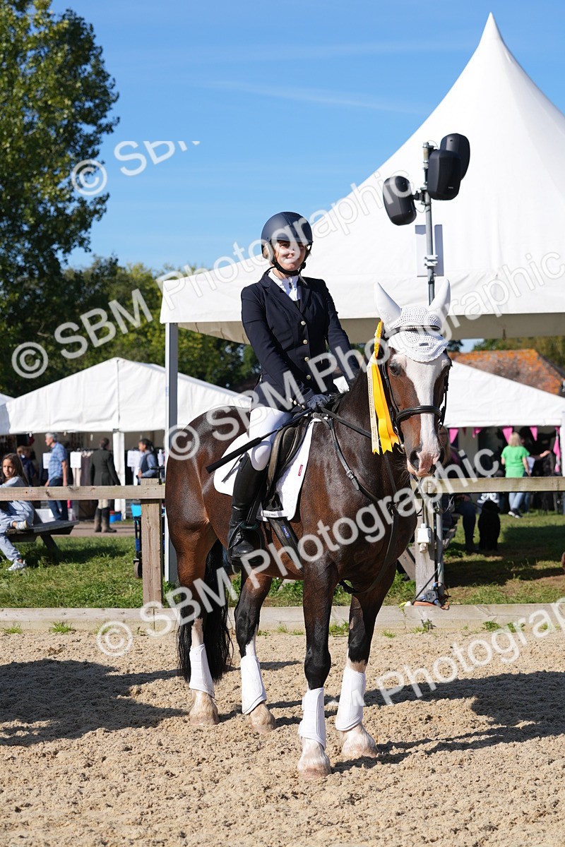 SBM_36252 - J 20 - Junior Horse 50cm Championship