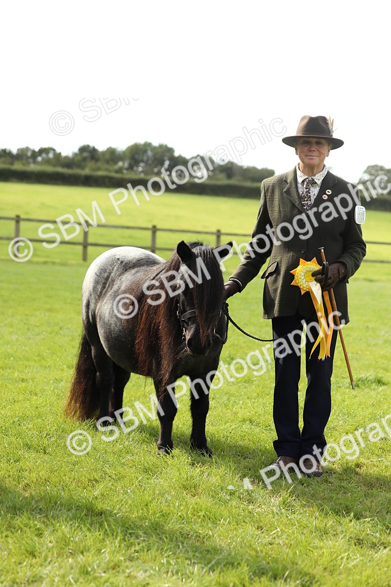 SBM_62858 - S46 - Mountain & Moorland In Hand Small Breeds