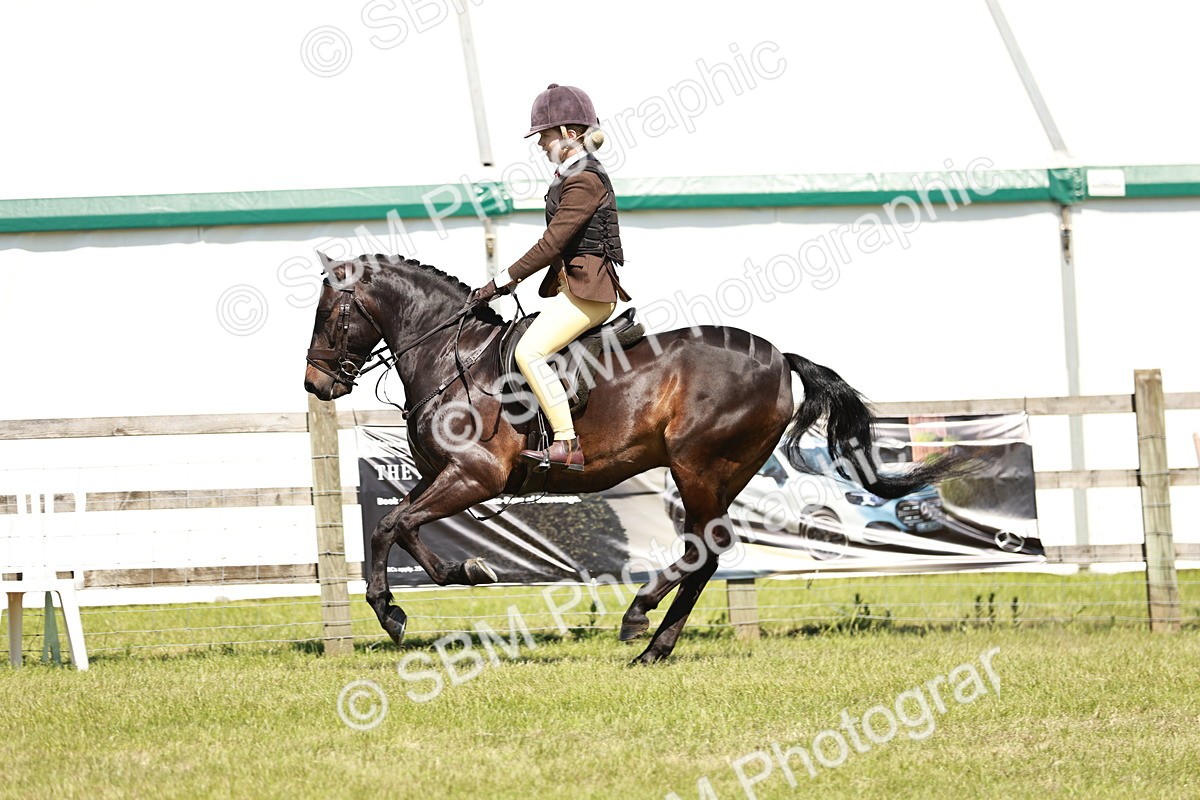 SBM_17649 - Class 112-113 - BSPS LIHS Working Sports Pony