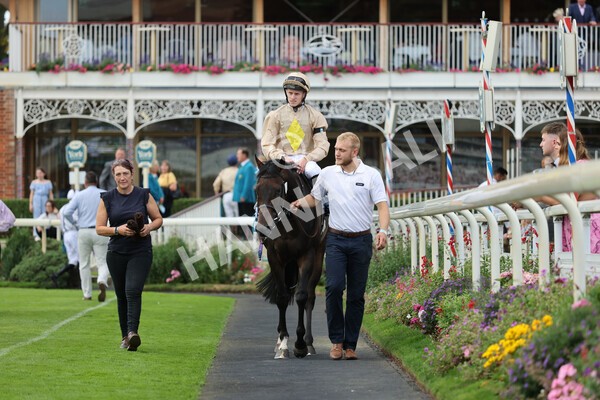 yr04092022r7-32 - Race 7 5.15pm Firmament Stakes