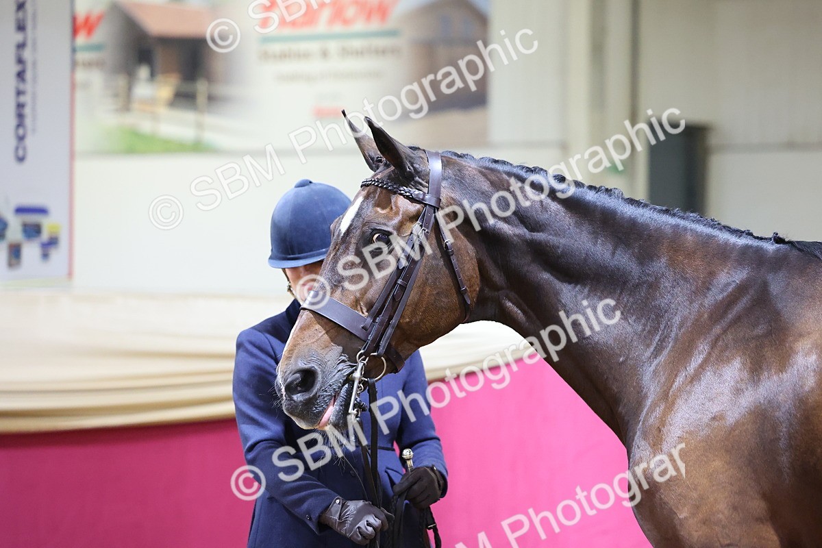 SBM_19682 - Class 901 - Supreme Final - IH Diamond