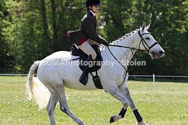 IMG_3540 - Working Hunter