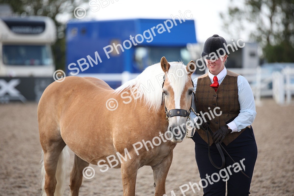 SBM_07127 - Class 25 IH Foreign Breeds- Pure bred
