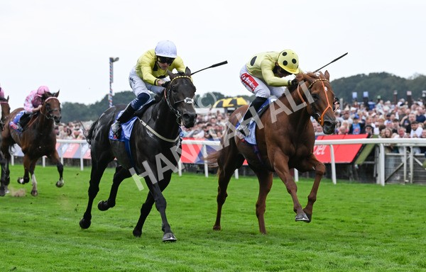 230825-003 King Of Cities - Race 1 1.50pm Sky Bet Strensall Stakes