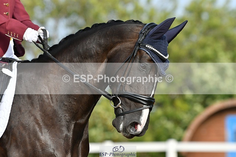 250906-094955-00465 - 039-Claire.RandallUndeclared