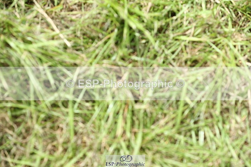 230820A-134159-00280 - Cls 2 Discovery & Open