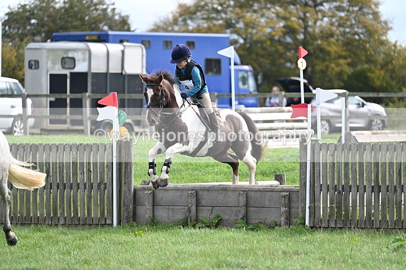 WJ7_8442 - 60cm Pairs