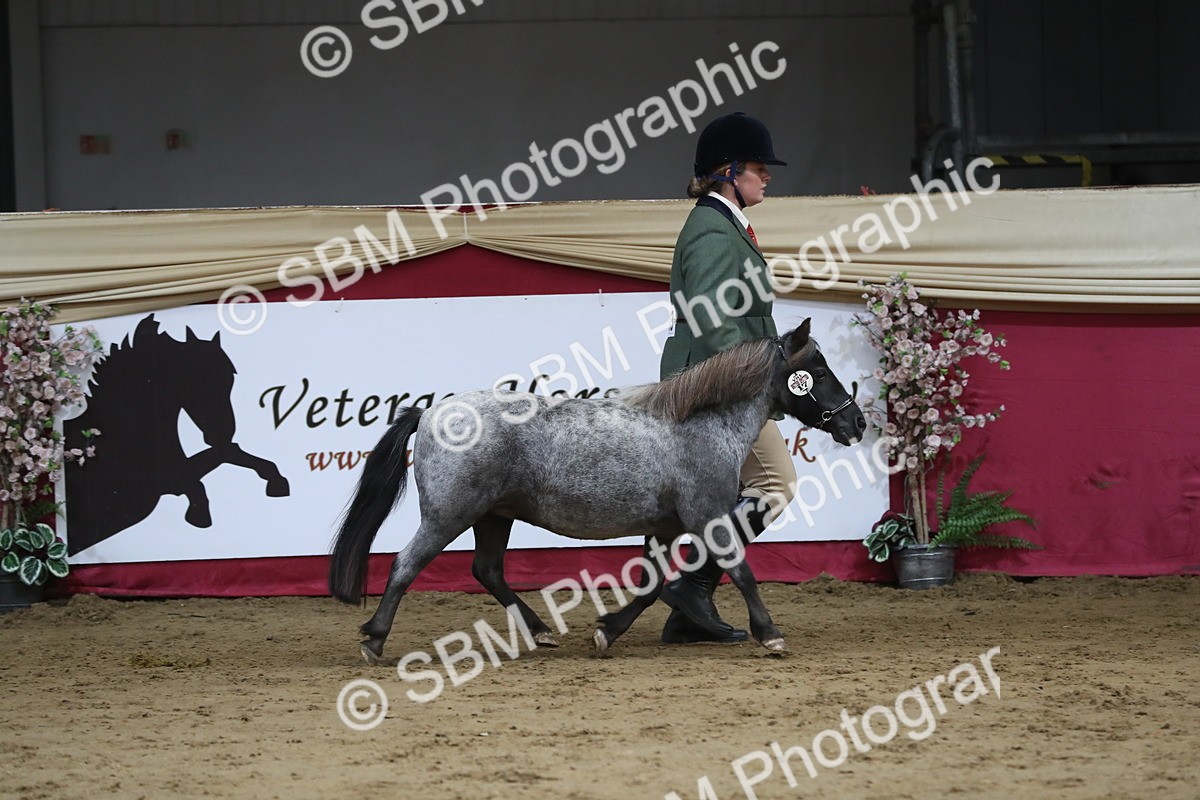 SBM_06295 - Class 9R Regional- IH Pre Vet