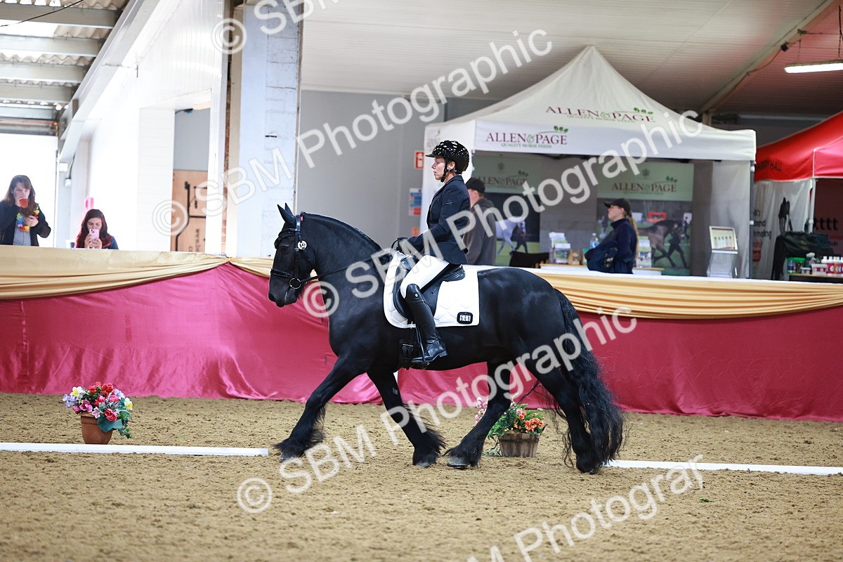 SBM_06597 - Class 61 - Dressage to Music