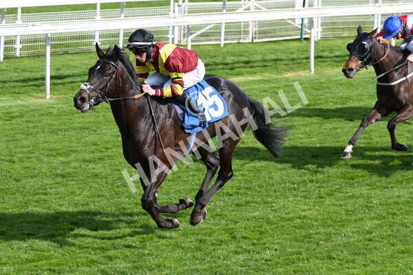 yr12052021r7-24 - Race 7 4.50 pm Conundrum HR Consulting Stakes