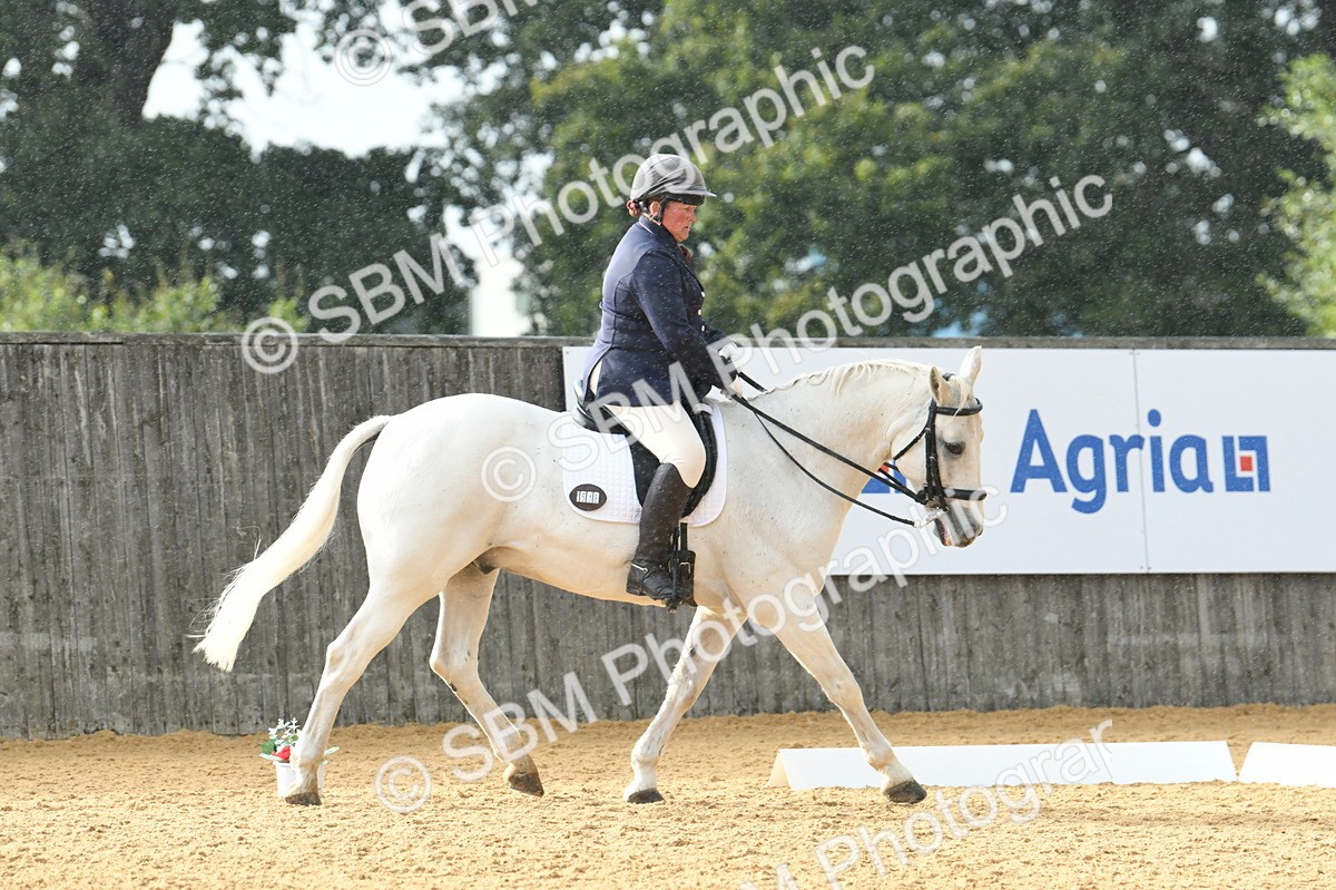 SBM_11115 - D28 Elementary Taster Elementary 42