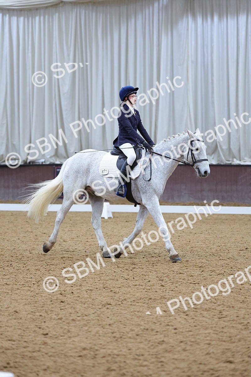 SBM_004155 - Intermediate
