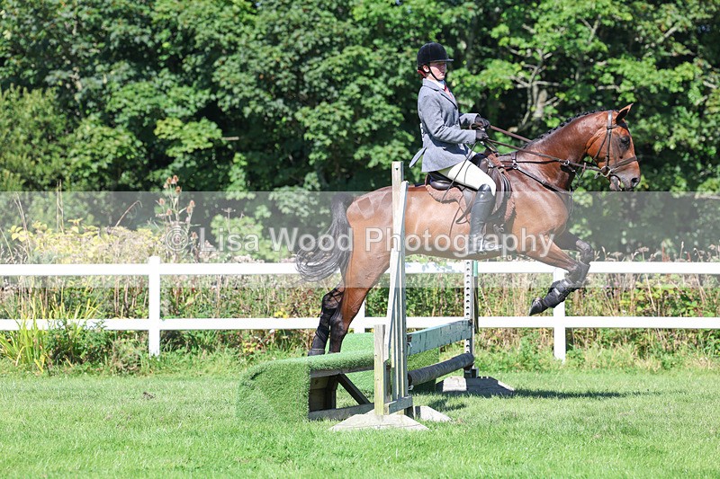 3E7A8303 - Class 4: Novice working Hunter