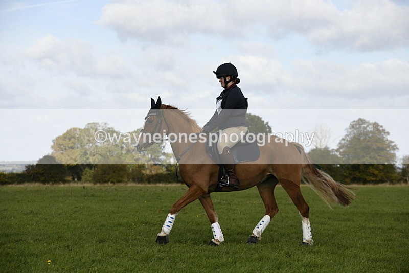 _DSC6101 - Time 11:23 to 12:05