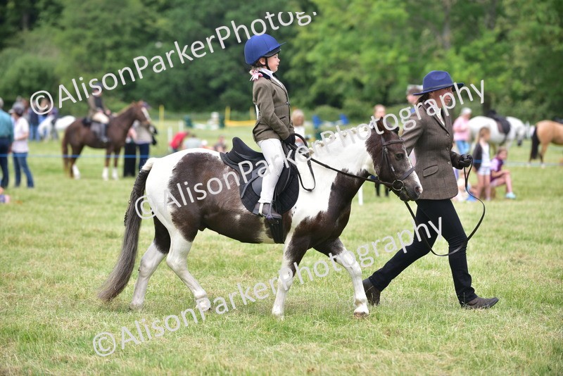 20260614-1393 - Class 11b - Lead Rein Pony (Plaited)
