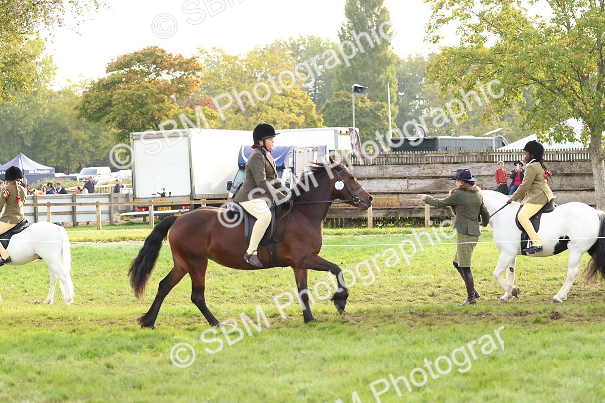 SBM_56591 - S40 - Starters Ridden Showing