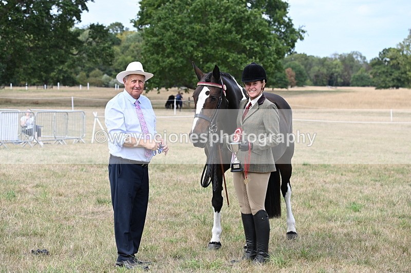 WJ6_6350 - Class 19 In-hand Veterans (Uploaded correct folder)