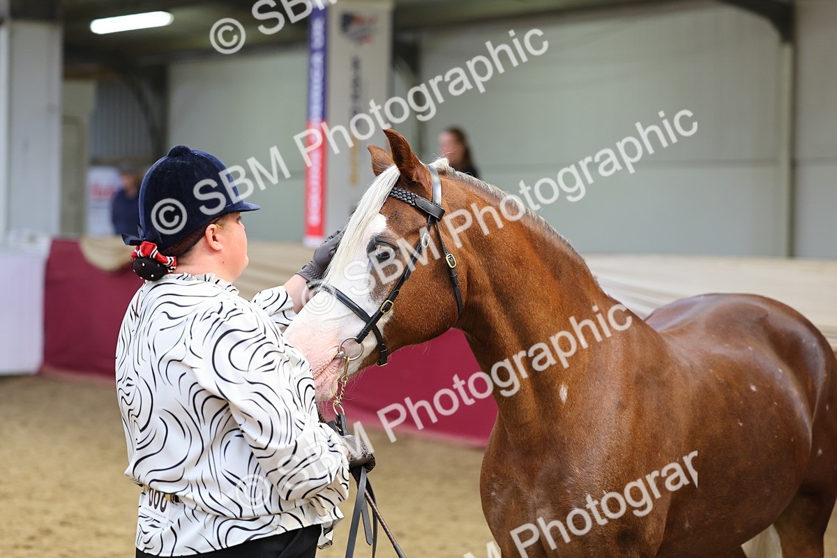 SBM_22904 - Class 903 - Supreme Final - IH Pre Vet