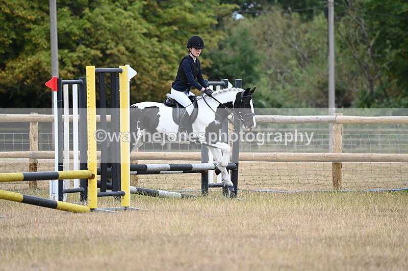 WJ6_0307 - Class 13 Novice Jumping 60cm