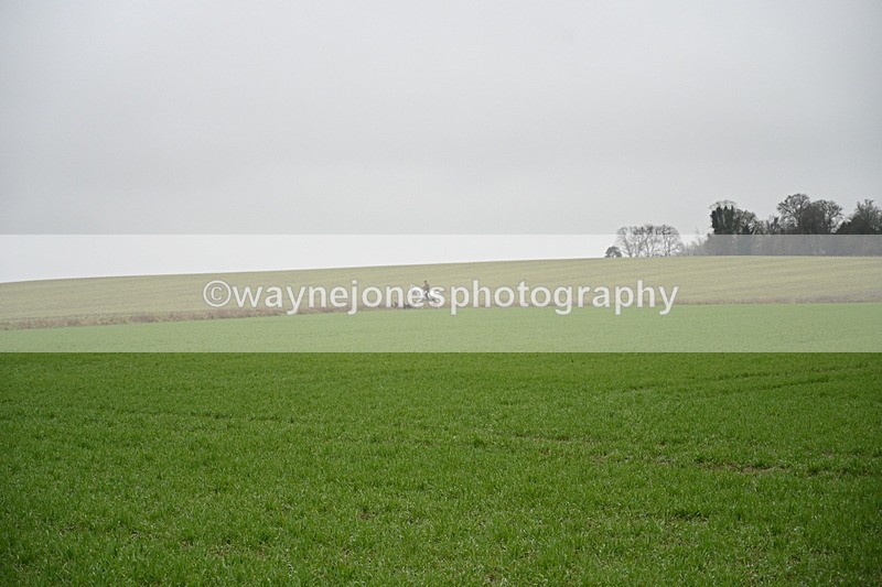 WJ7_9725 - Walk out..