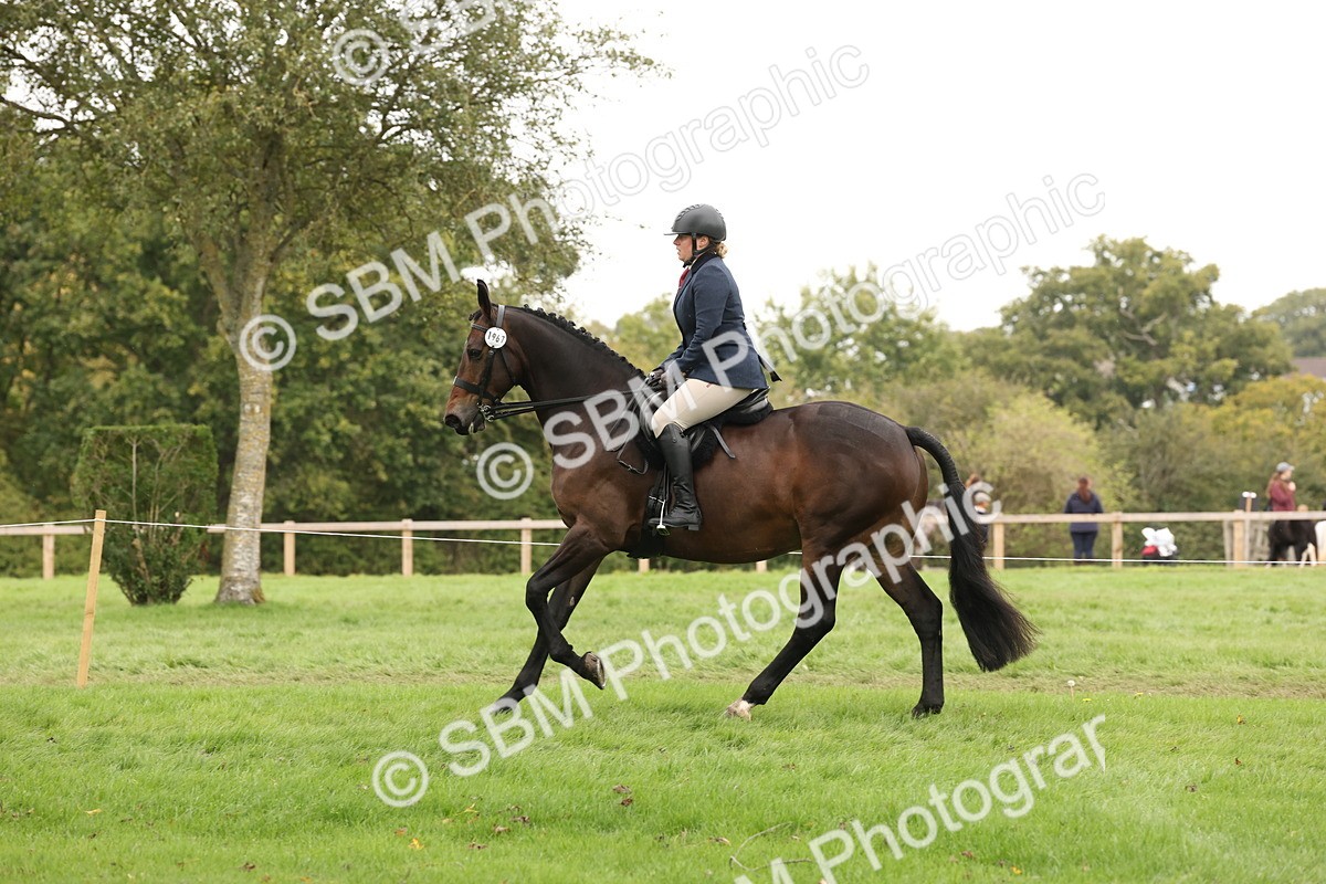 SBM_63015 - S64 - Foreign Breeds Ridden