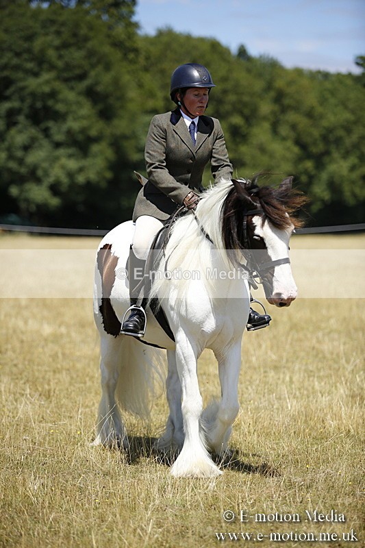 _C7A9946 - BVRC Show 2018 Ring 1