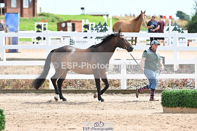 240717A-144213-02211 - Trot Up 2pm to 3pm - This folder is not in time order