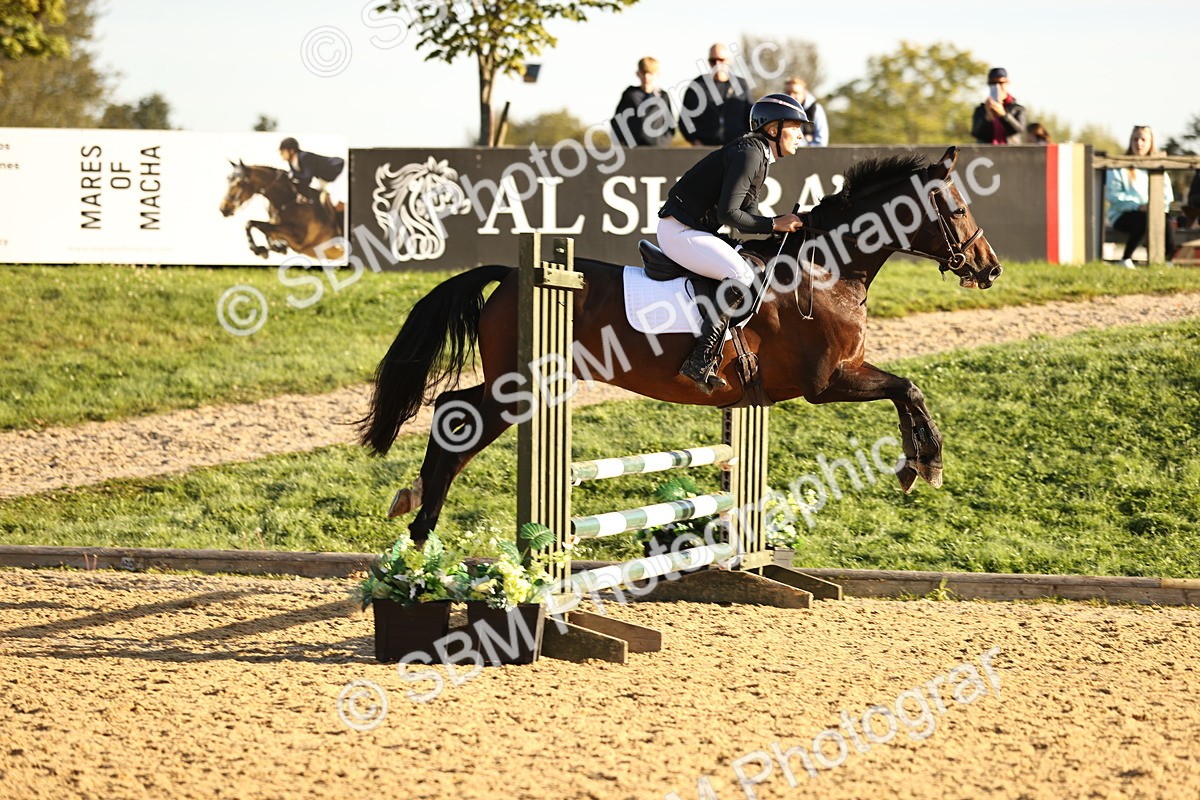 SBM_33141 - J38 - Senior 80cm Championship