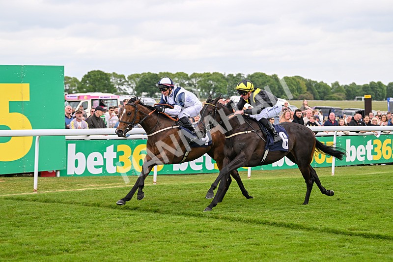 240525-Race 2-Argentine Tango-0287 - Race 2